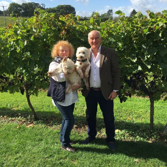 Owners of the award-winning Dorset vineyard