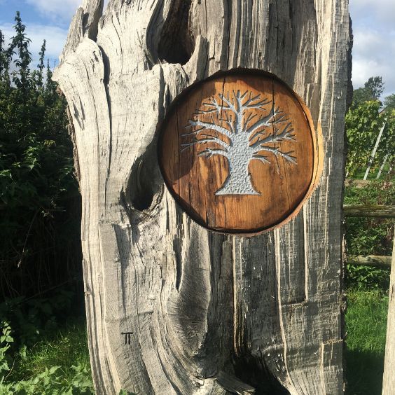 The symbol of the award-winning Dorset vineyard