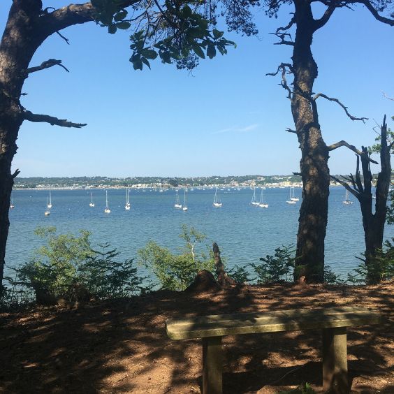 Brownsea Island, owned by the National Trust