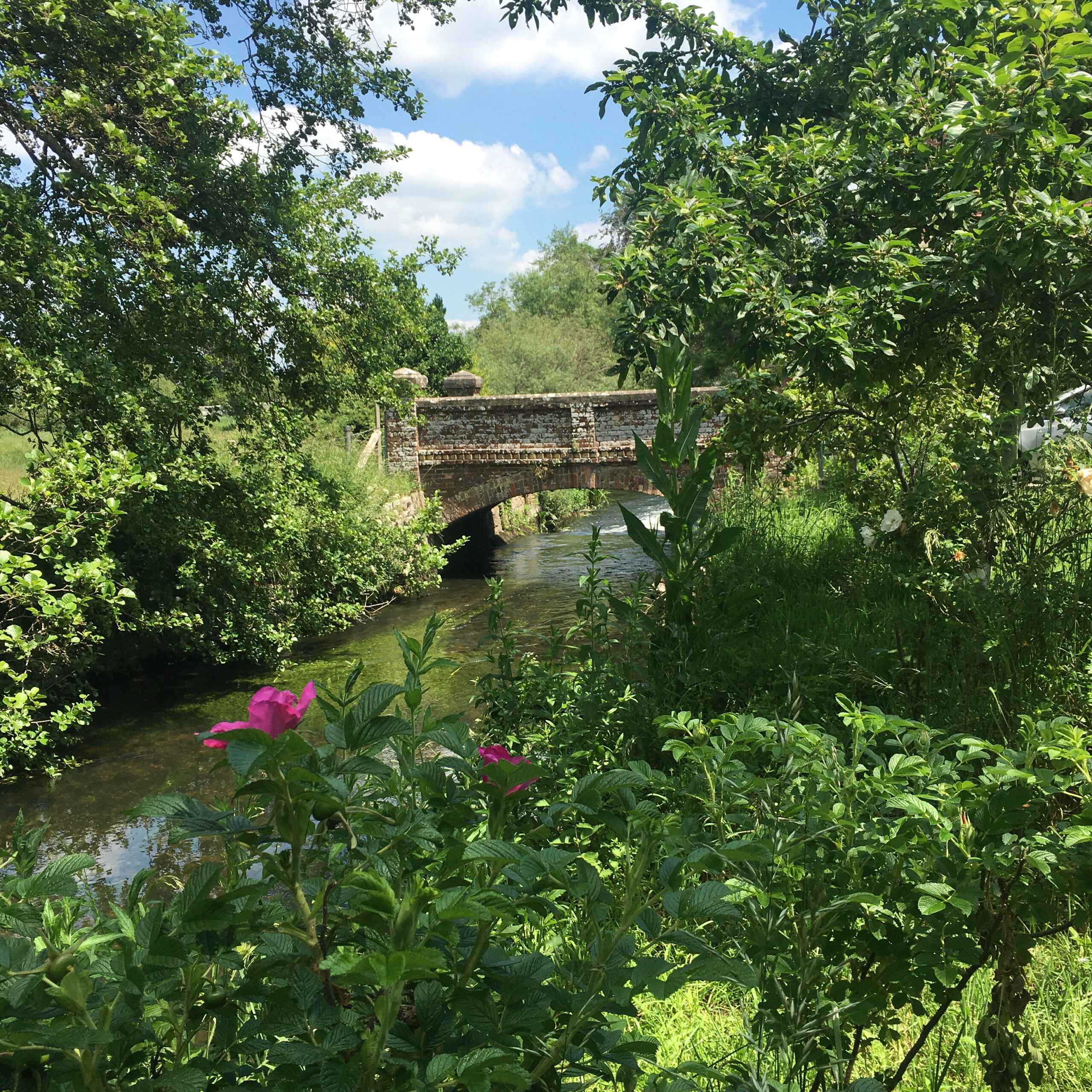 Pretty bridge over the River Piddle at North Mill in Wareham