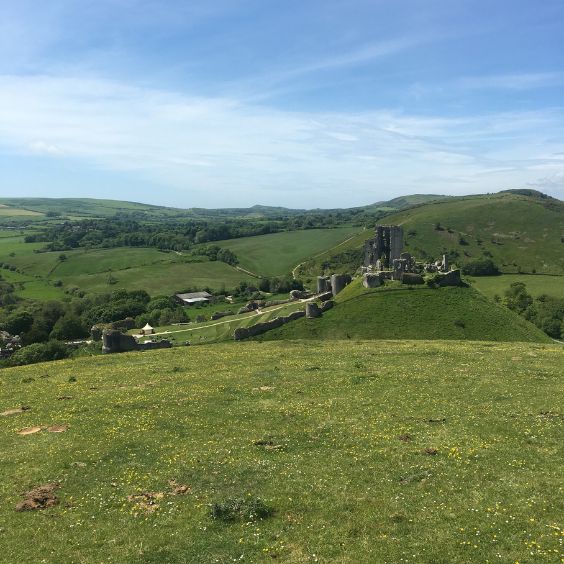 A view of Corfe Castle aboard a 4x4 Tour with Purbeck Safari