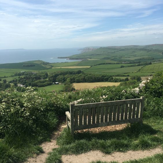 A view of Heaven's Gate 