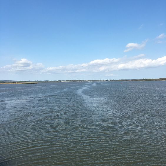 Smooth sailing on the Osprey Cruise with Birds of Poole Harbour