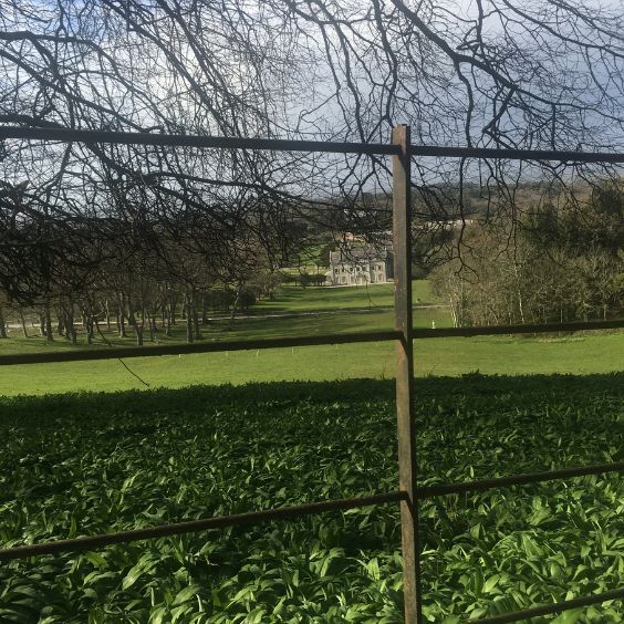 Creech Grange close to the deserted village of Tyneham