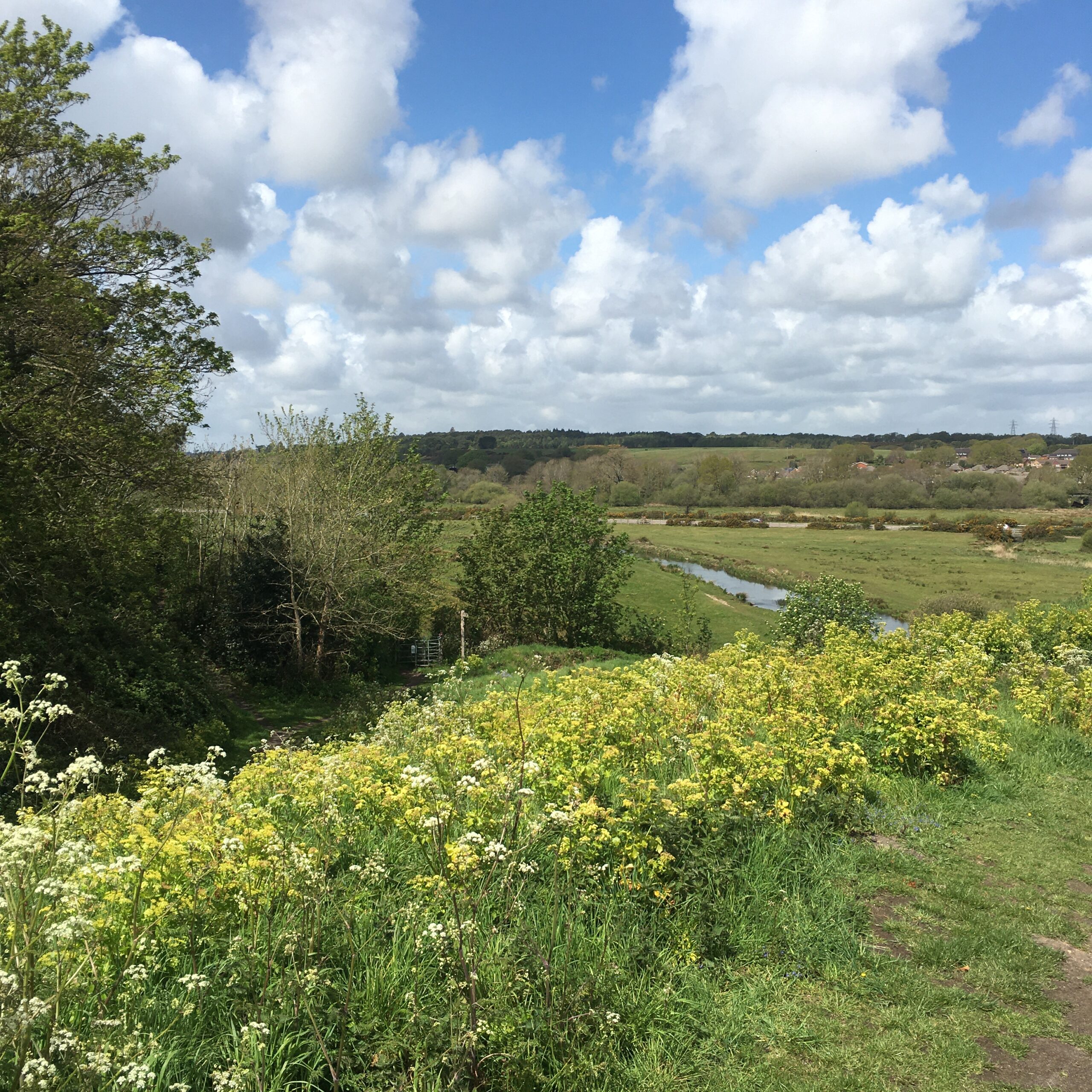 Wareham Common below its Saxon Walls