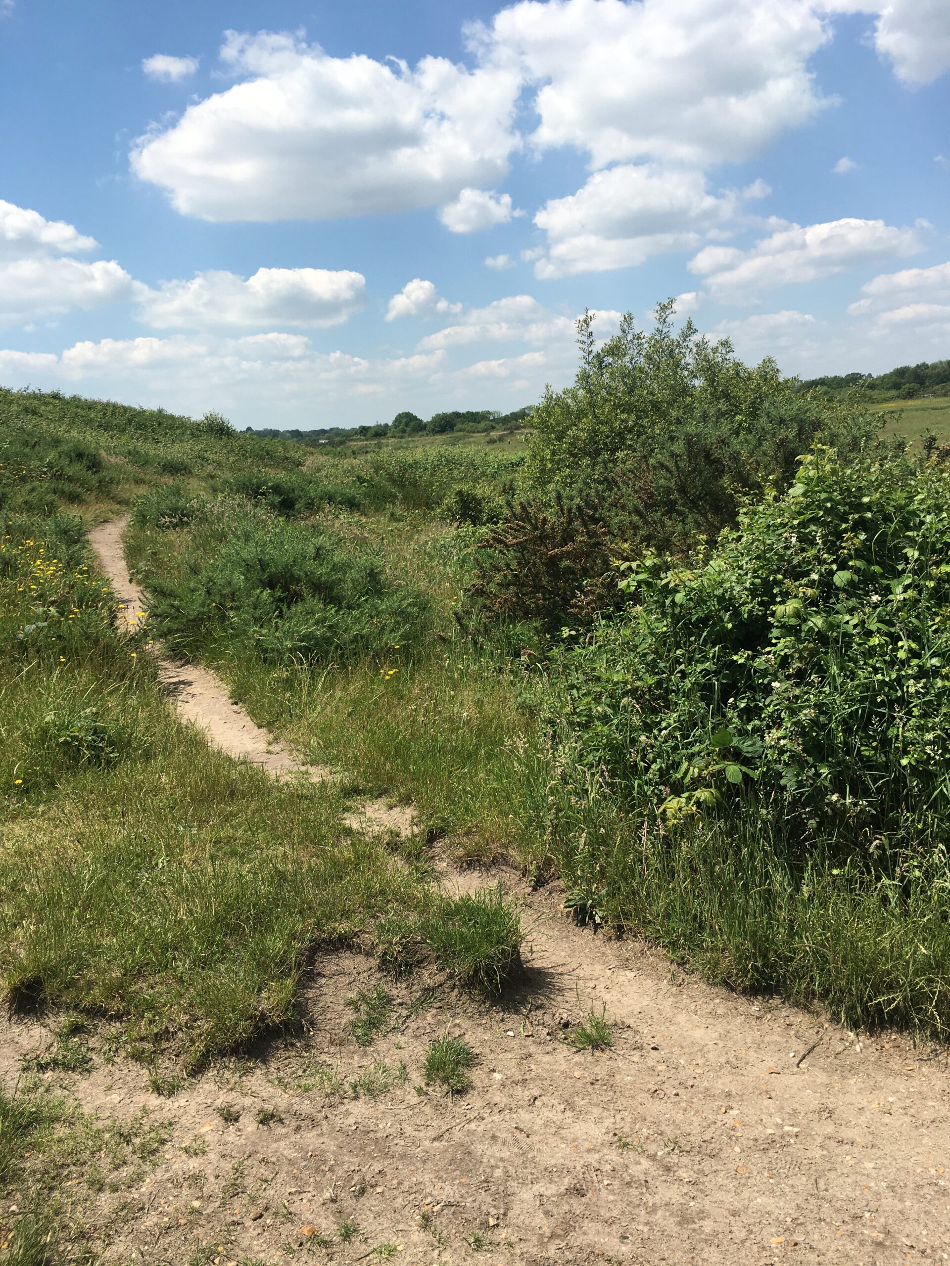 the lower path beneath the Saxon Walls of Wareham