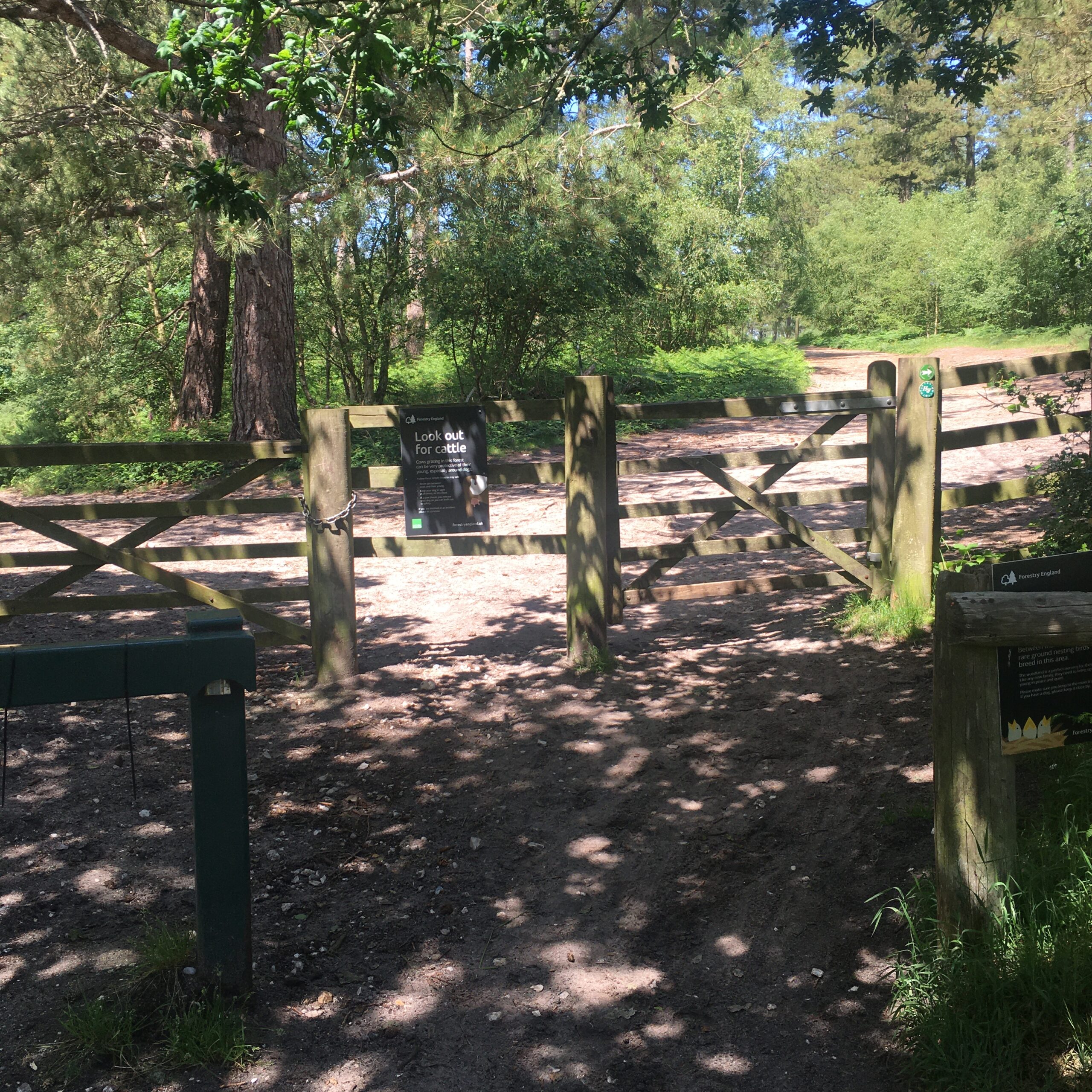 The gate into Wareham Forest