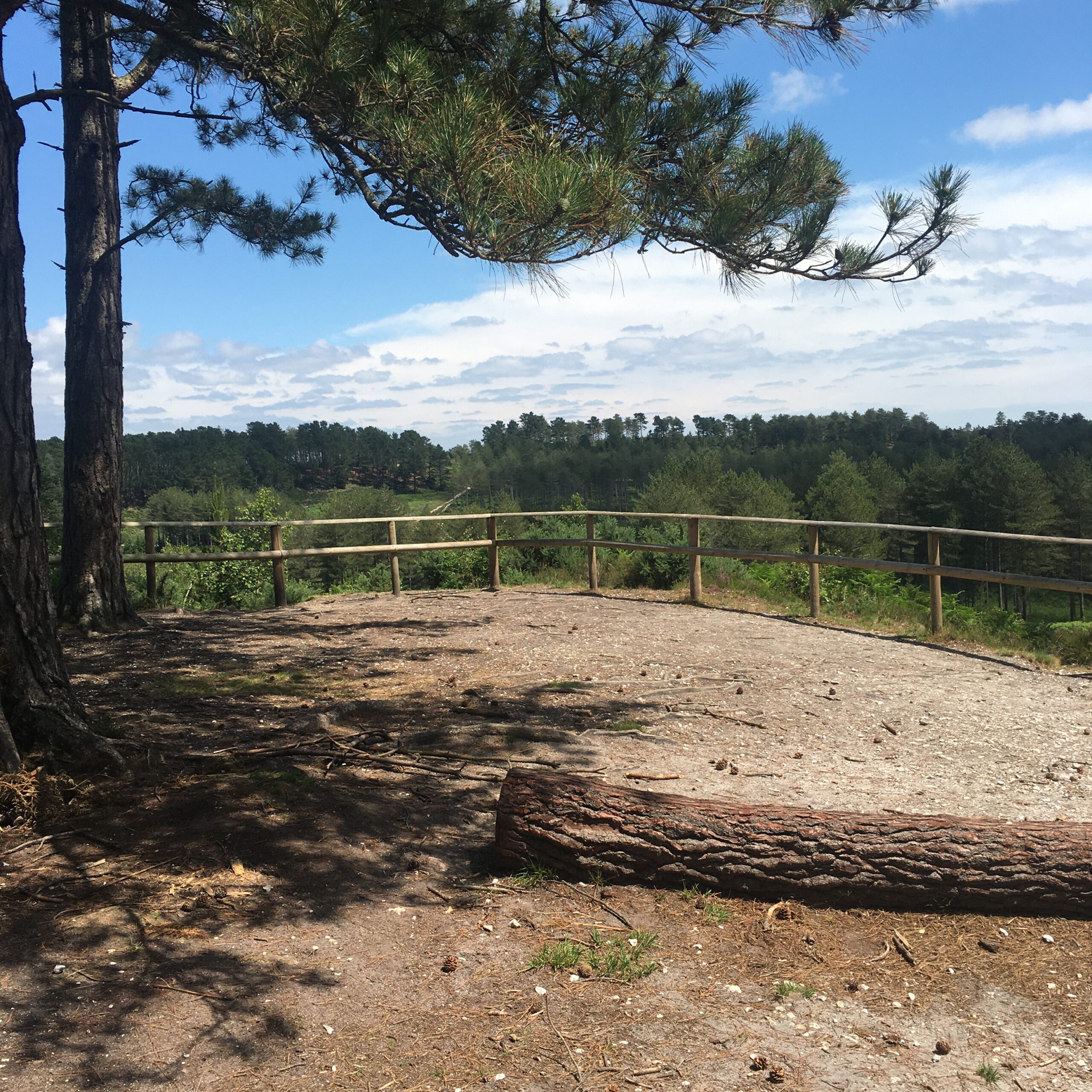 Wareham Forest viewpoint, part of our 3 Walks from our Wareham B&B