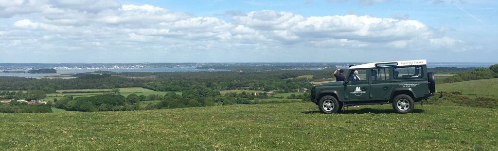 Purbeck Safari perfect for sightseeing